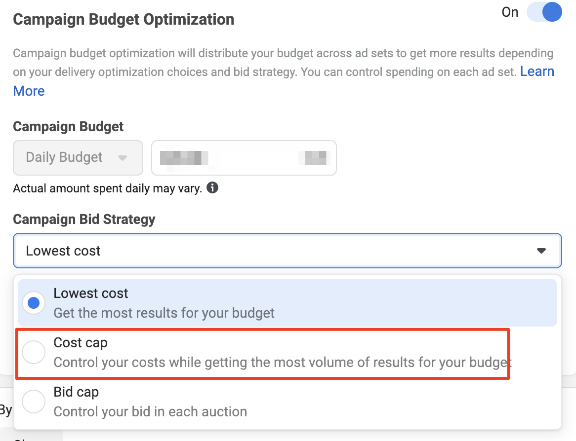 Facebook Cost Cap Options