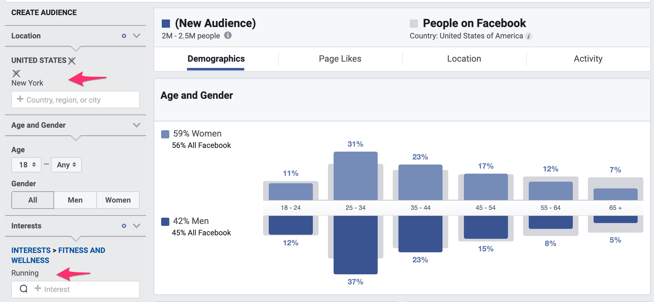 Facebook Audience Insights