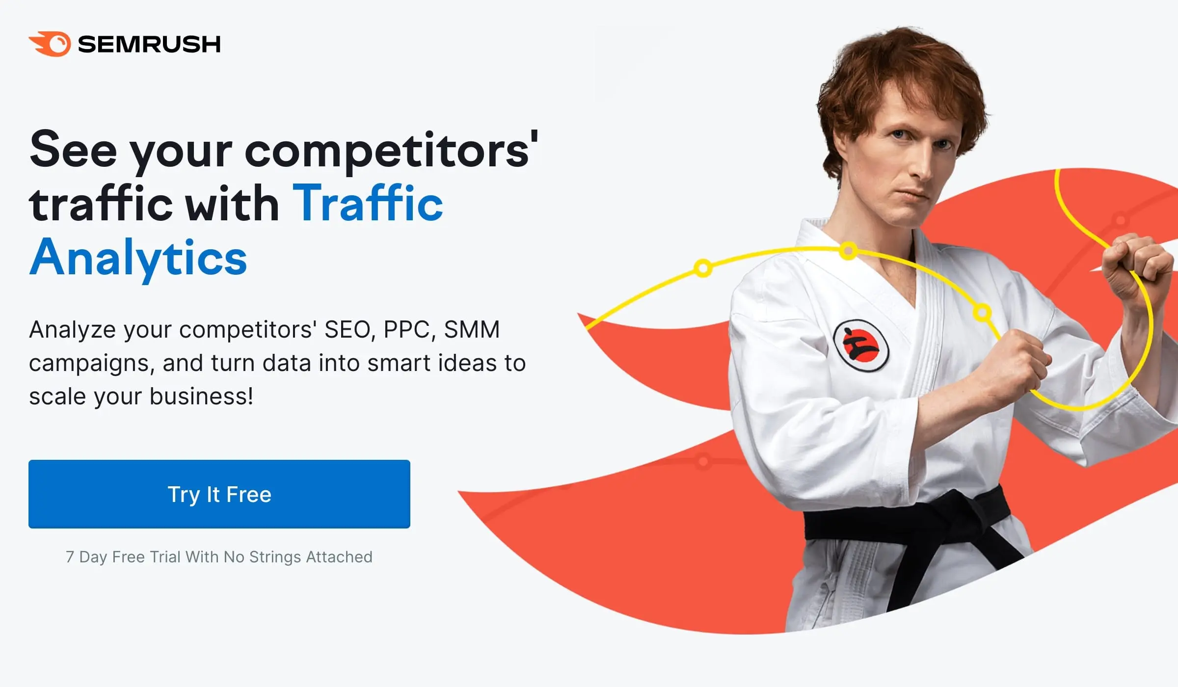 Website Traffic Checker