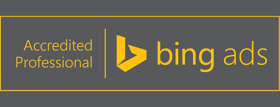 bing ads professional