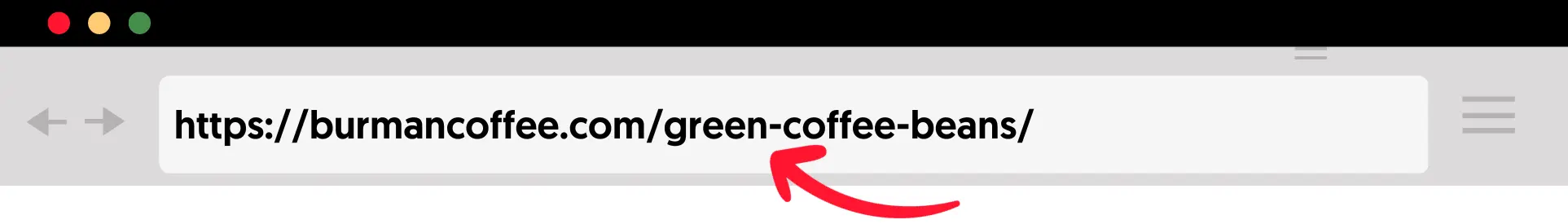 URL in Browser Bar