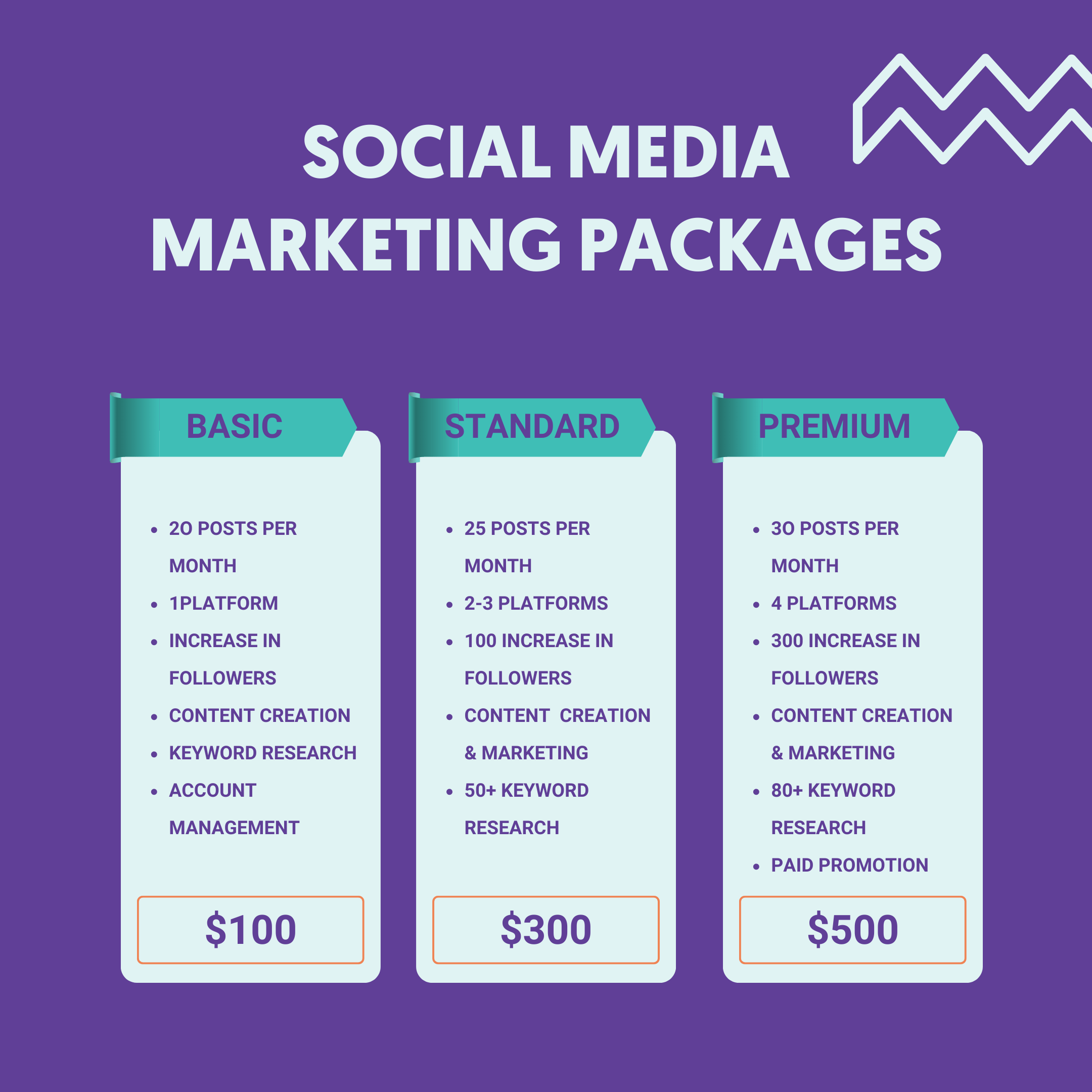 Social Media Packages - Sample