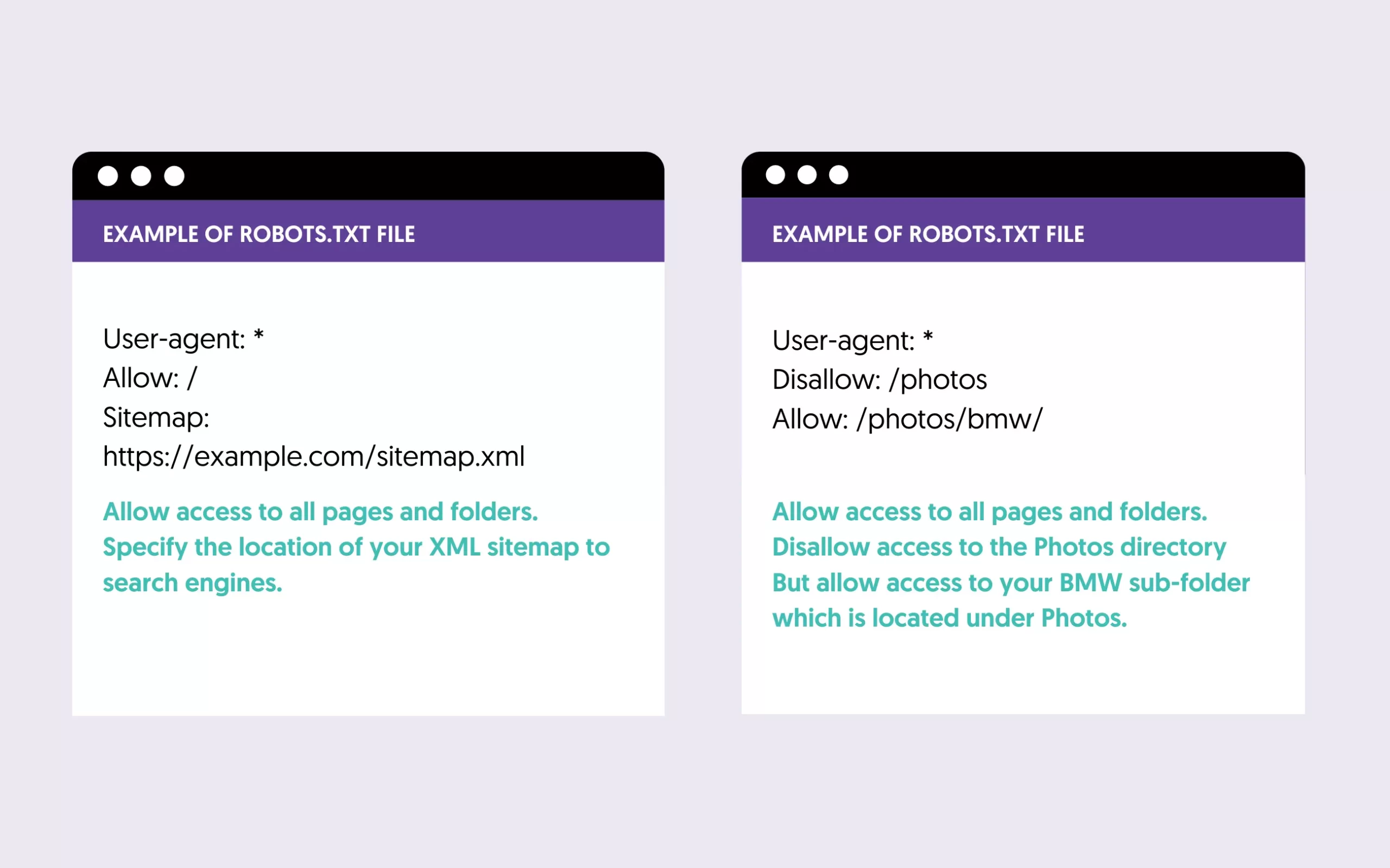 Robots.txt Examples