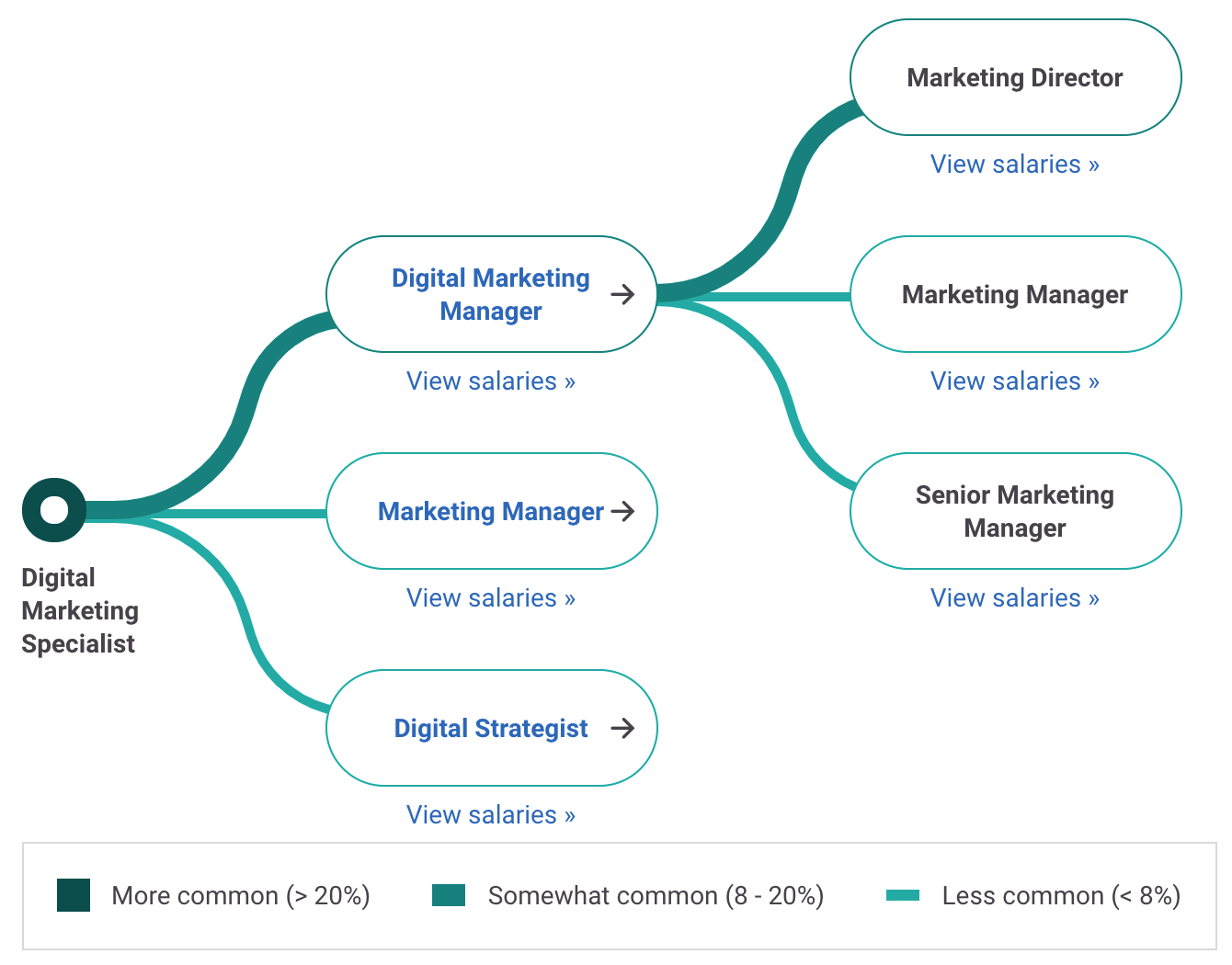 Digital Marketing Specialist Career Path