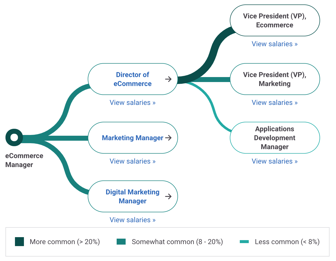 eCommerce Specialist Career Path